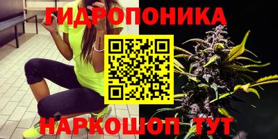 СК Будённовск