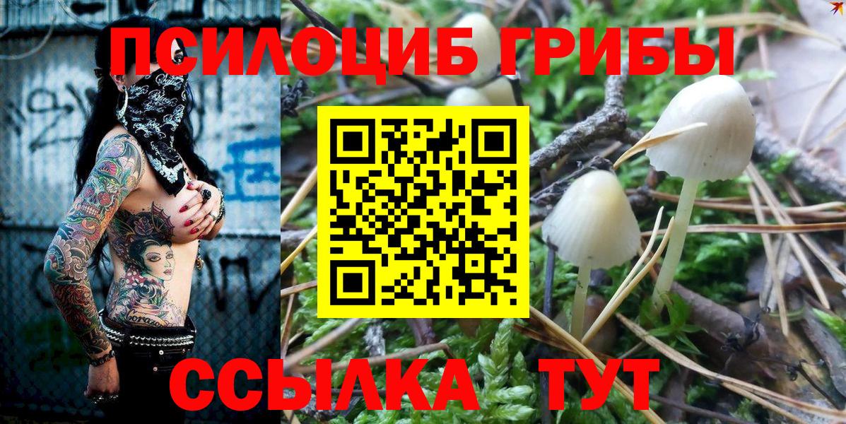 Галлюциногенные грибы Psilocybine cubensis  Вход с VPN  Куйбышев  Галлюциногенные грибы Psilocybe 